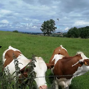 https://chambre-dhotes-regny-42630.hotels-rhonealpes.com